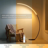 RGBW Modern Curve Floor Lamp | New Version - LuxNovaHub 