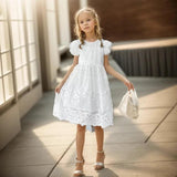 Girls Dress Lace Floral Dress For Kids Girl - LuxNovaHub 