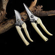 Pruning Garden Scissors Professional Trimmer - LuxNovaHub 