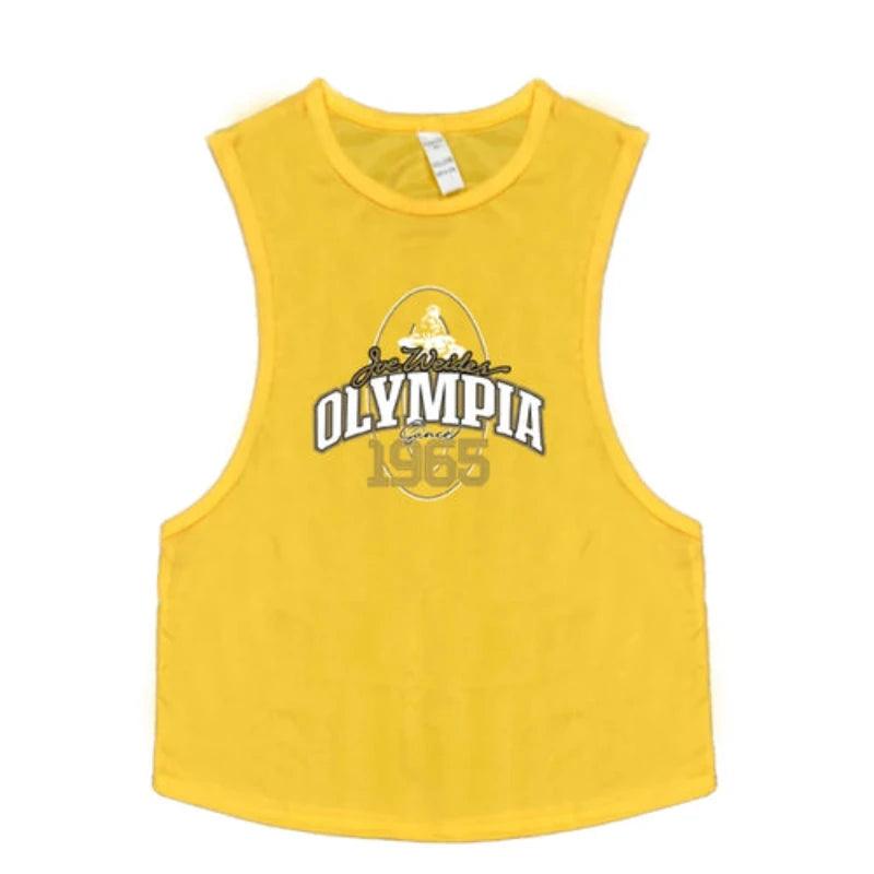 Summer Mesh Gym Tank Top Men Loose Quick Dry Fitness - LuxNovaHub 