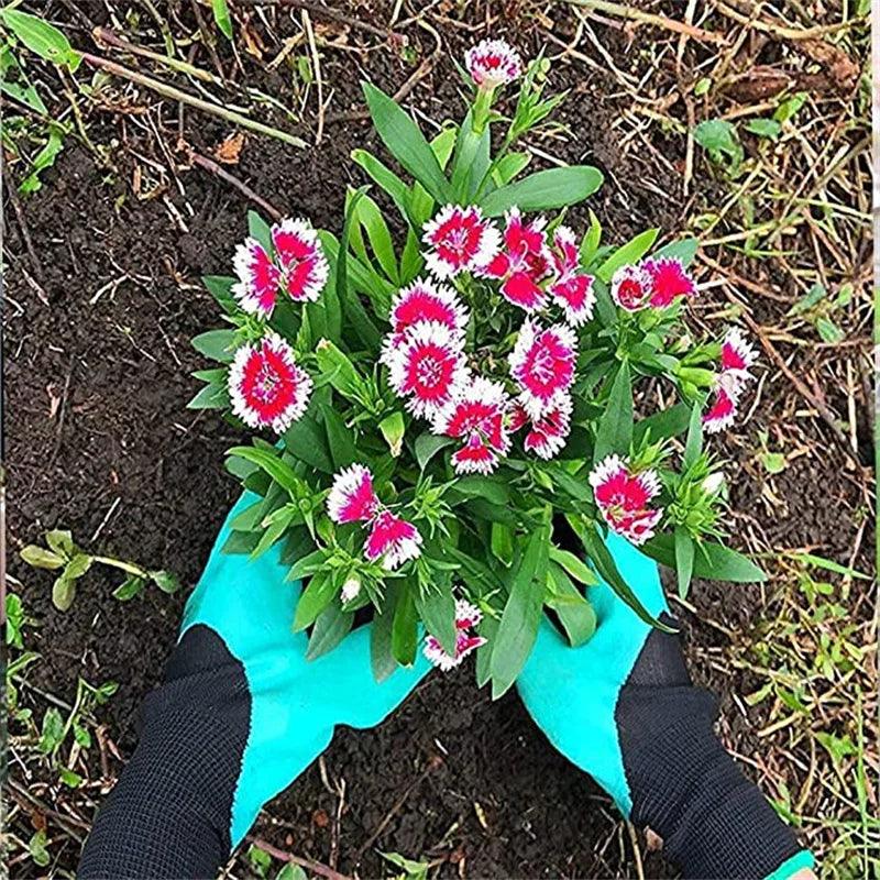 Gardening Gloves with Claws - LuxNovaHub 