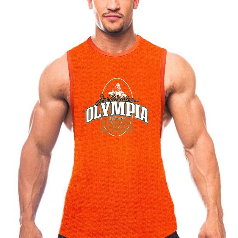 Summer Mesh Gym Tank Top Men Loose Quick Dry Fitness - LuxNovaHub 