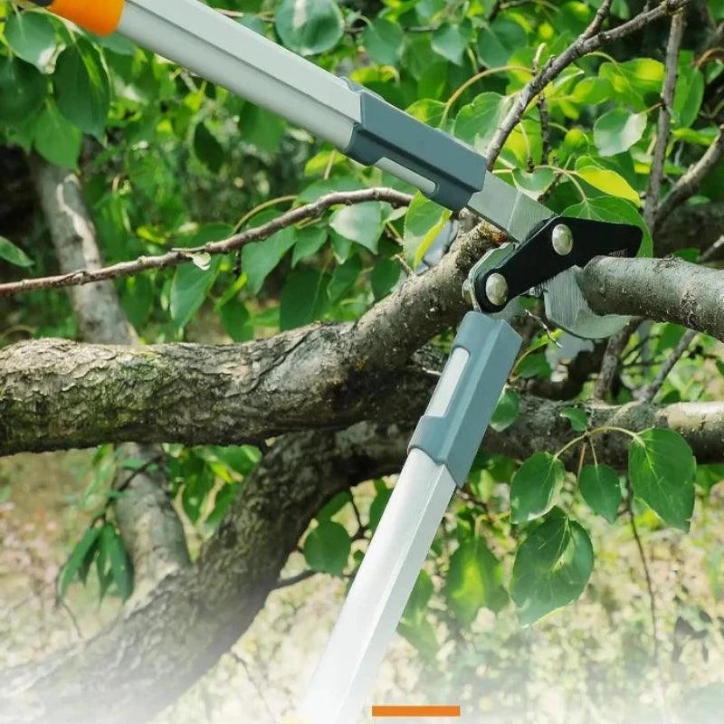 Professional Pruner Garden Bonsai Plants Farm - LuxNovaHub 