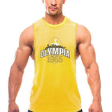 Summer Mesh Gym Tank Top Men Loose Quick Dry Fitness - LuxNovaHub 