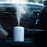 Portable Air Humidifier Aroma Essential Oil Diffuser for Car Home - LuxNovaHub 