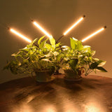 Tube Flat Clip Plant Light - LuxNovaHub 