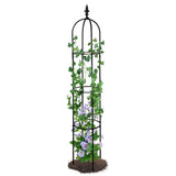 6.2ft Garden Obelisk Trellis; Lightweight - LuxNovaHub 